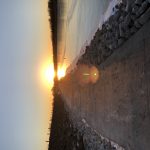 IMG_0130.jpeg