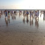 IMG_0212.jpg
