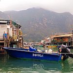 IMG_1764.jpg