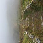 IMG_3061.jpg